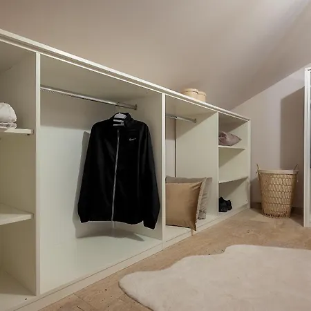 Luxury David With Swimming Pool, Sauna And Jacuzzi Pražnice