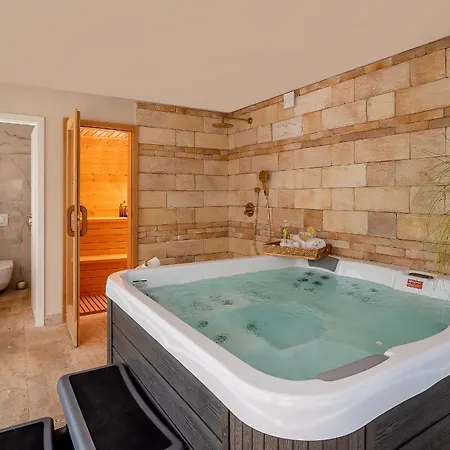 Luxury David With Swimming Pool, Sauna And Jacuzzi فيلة *