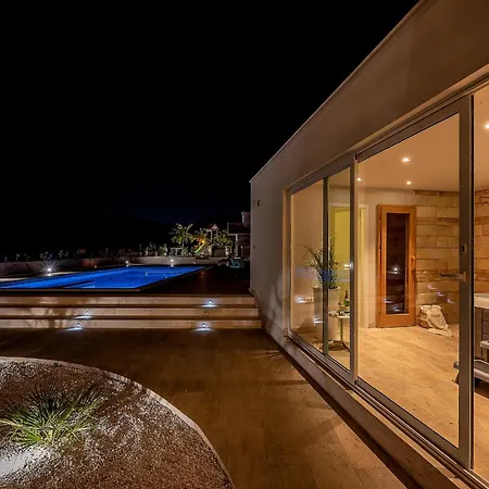 Luxury David With Swimming Pool, Sauna And Jacuzzi וילה